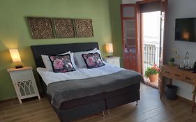 Olive Tree Guest House